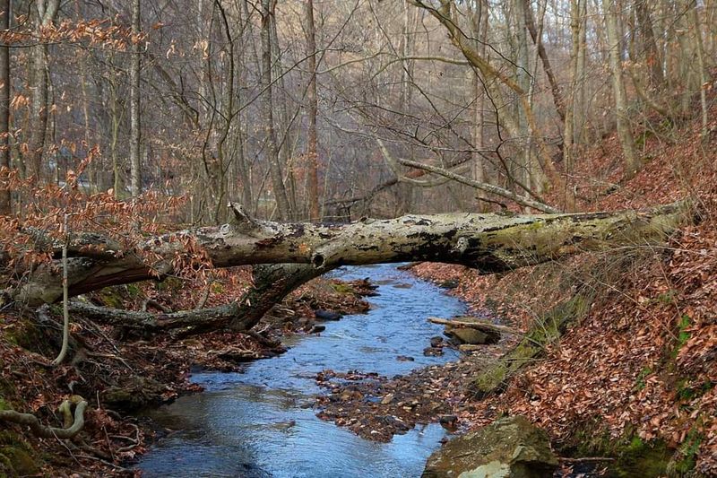 Cozy & family-friendly - ideal for all ages.