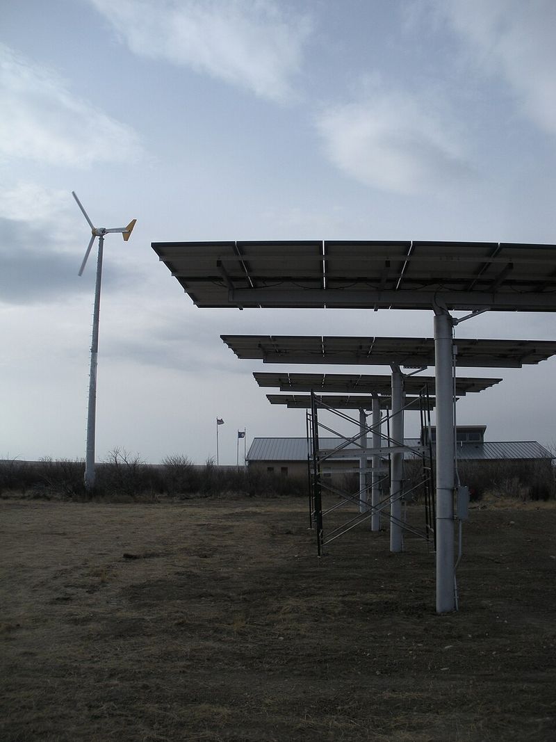 Environmental Leadership