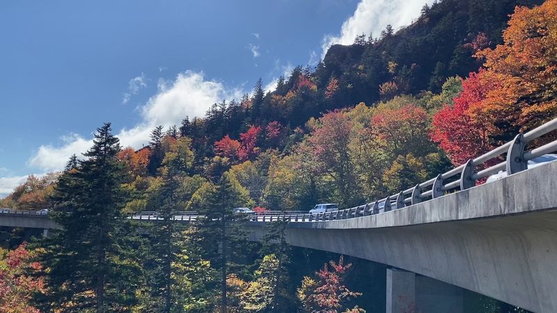 Hike Under the Linn Cove Viaduct