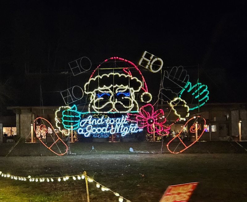 Hundreds of thousands (even “millions”) of lights illuminate the route.