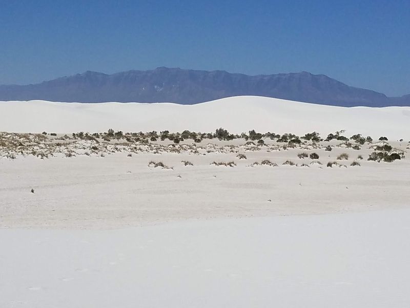 You Can Stand in the Desert and See Snow - On the Same Day