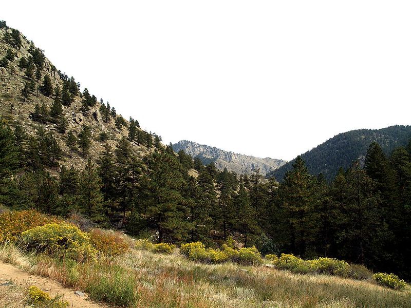 Poudre Canyon’s Greyrock and Secluded Spurs