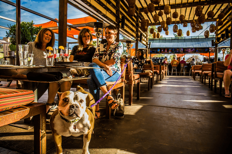 O.H.S.O. Brewery & Distillery