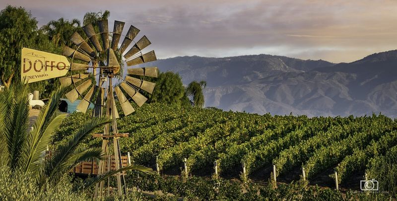 Temecula Valley Wine Country