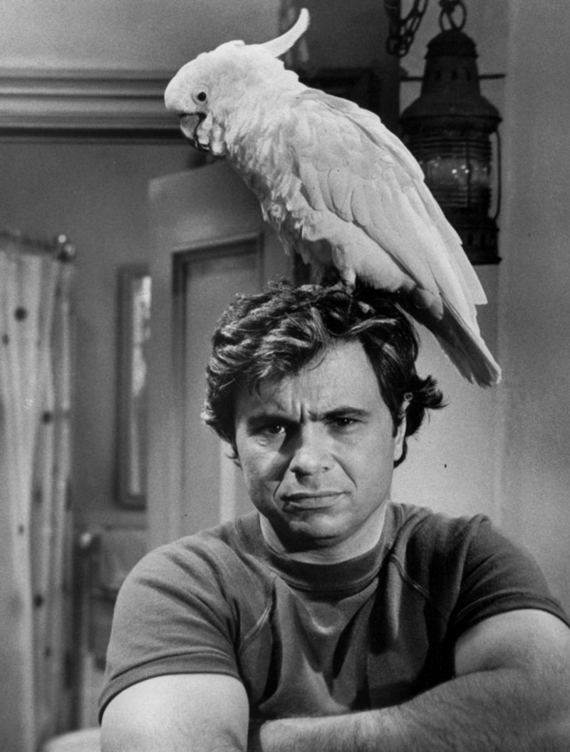 Robert Blake
