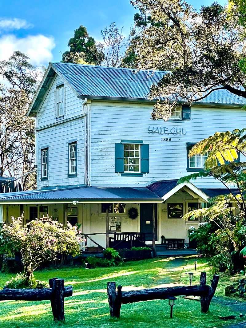 Where to Stay in the Forest