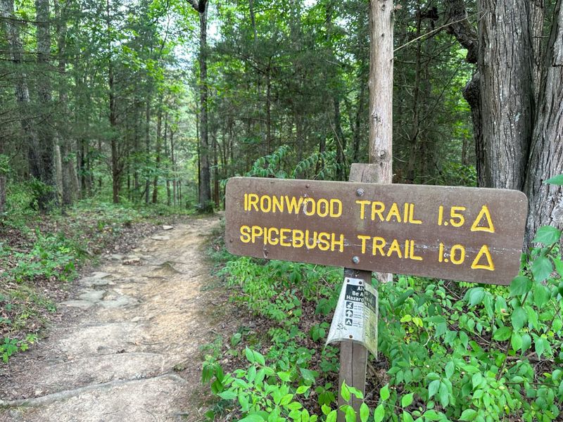 Spicebush & Ironwood Trails (Kincaid Lake)