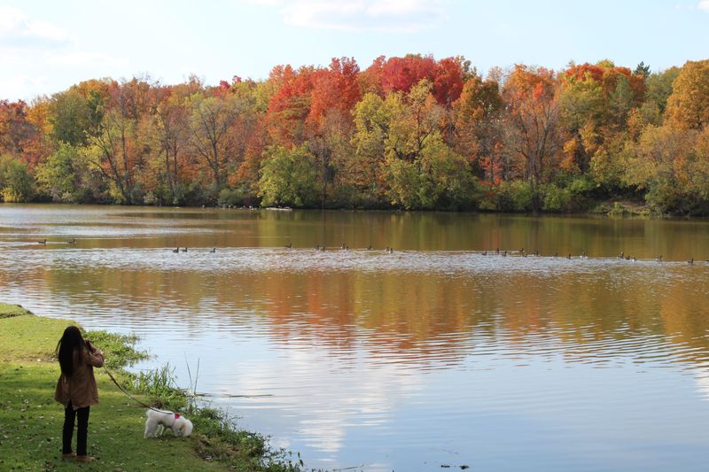 Madison Lake State Park