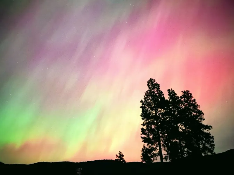 Flathead Region Lakes (e.g., Flathead & Whitefish Lakes), NW Montana