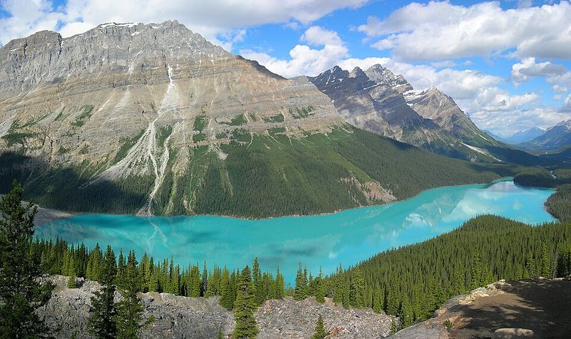Peyto Lake – Alberta, Canada