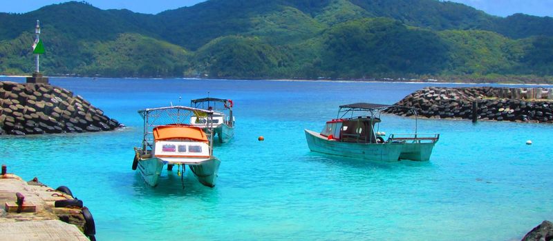 Amazing biodiversity especially under water