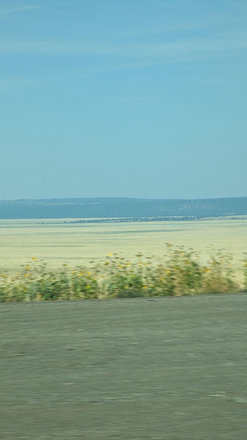 Community Kindness and Local Stops