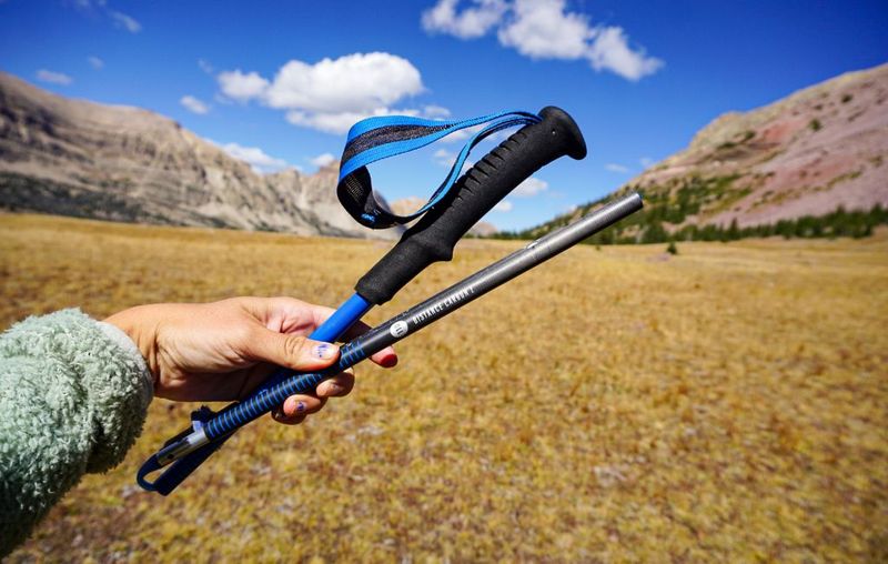 Black Diamond Distance Carbon Z Trekking Poles