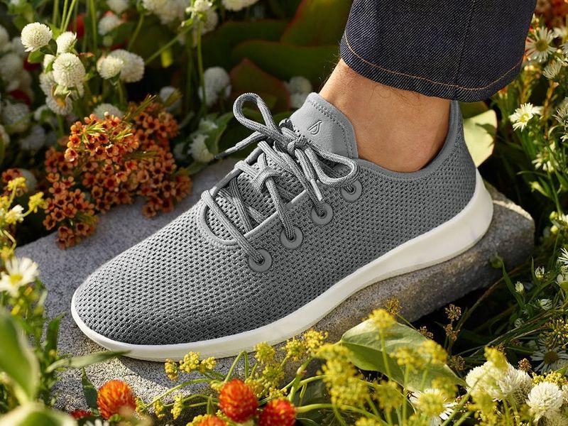 Allbirds Tree Runners