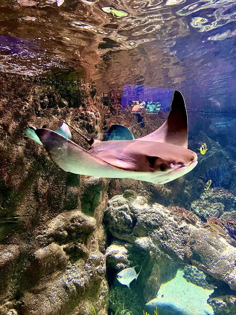 World Class Aquarium Walkthrough