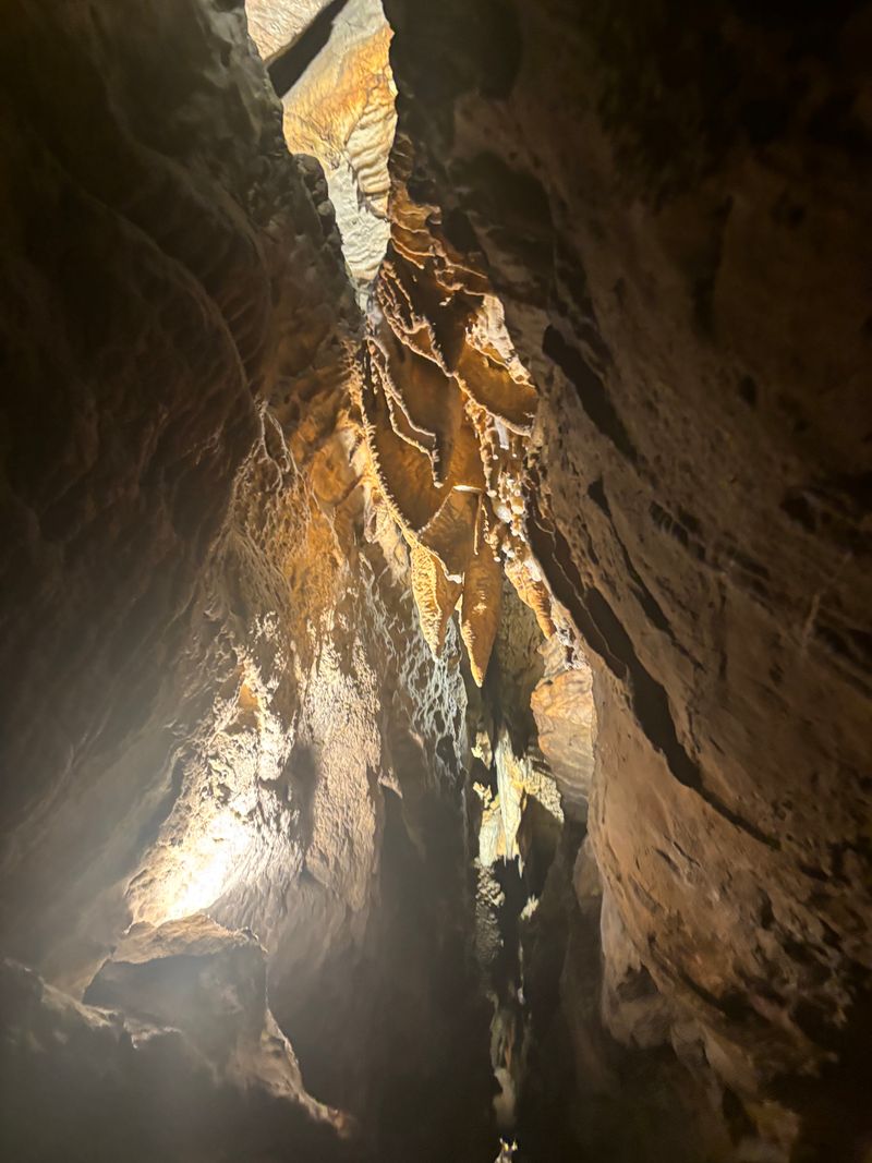 Reviews That Match The Experience