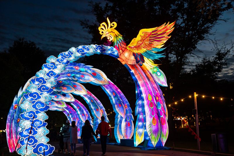 Jacksonville Zoo Colors of the Wild Lantern Experience (select nights Nov 22, 2025 – Feb 8, 2026)