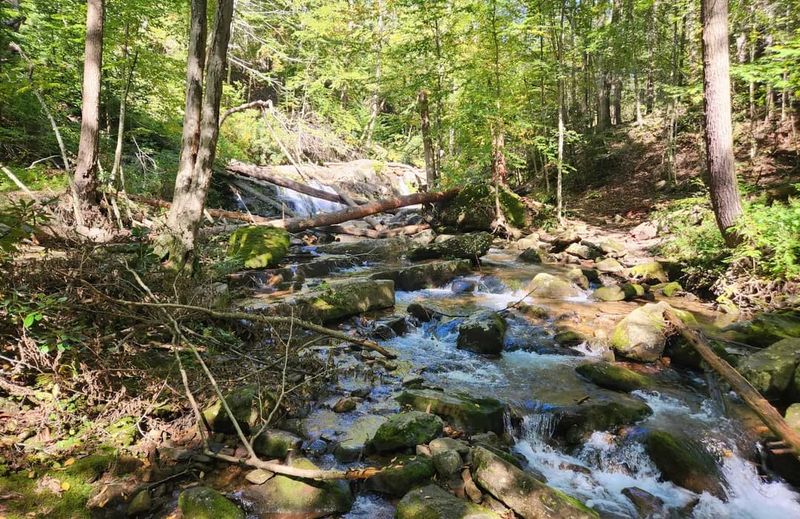 Dunnfield Creek Trail to Sunfish Pond, Delaware Water Gap NRA, NJ