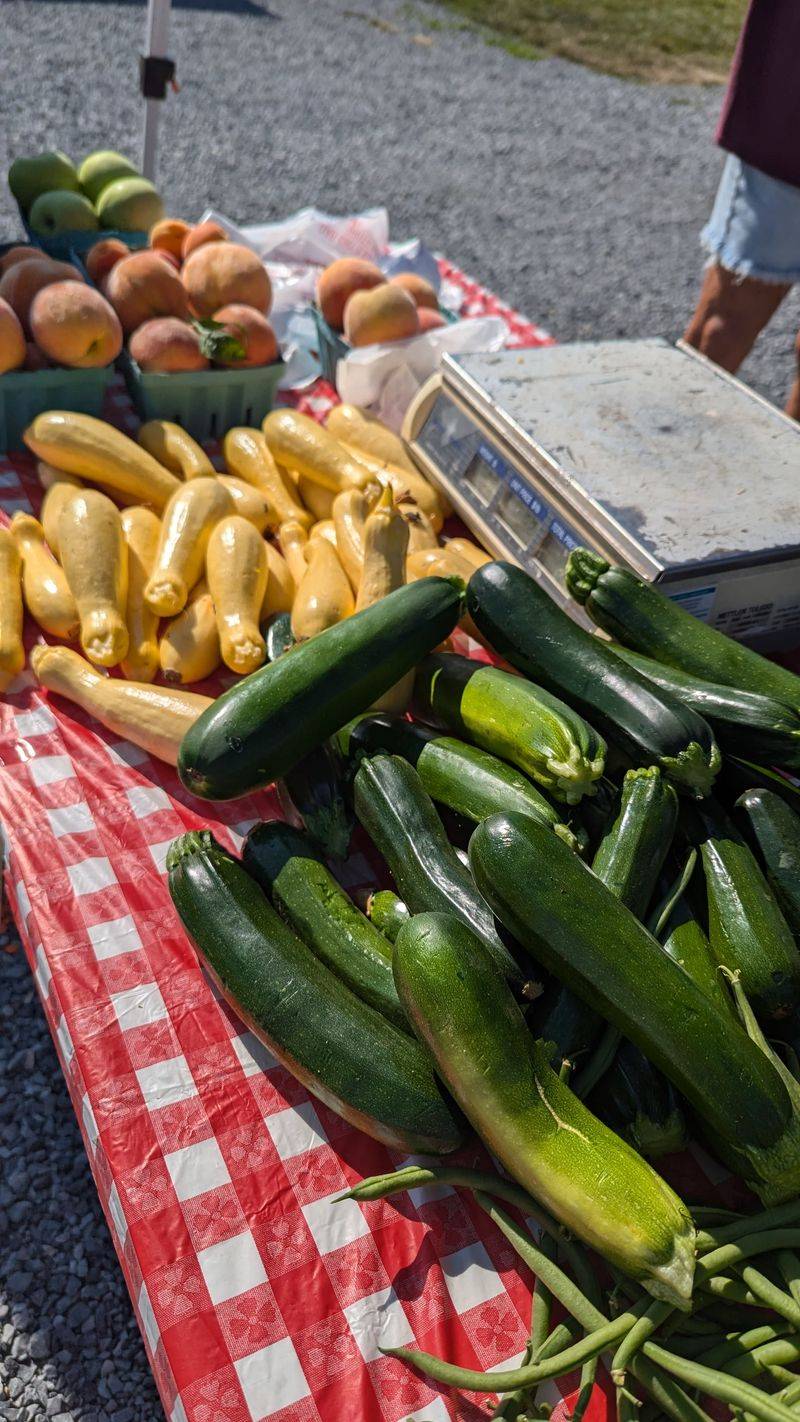 A True Farm-to-Table Vibe at the Botetourt Farmers Market