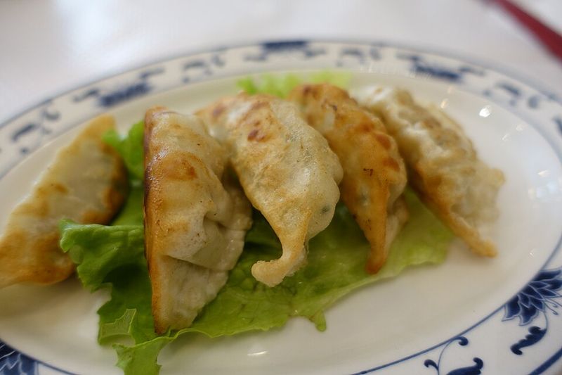 Chicken Dumplings