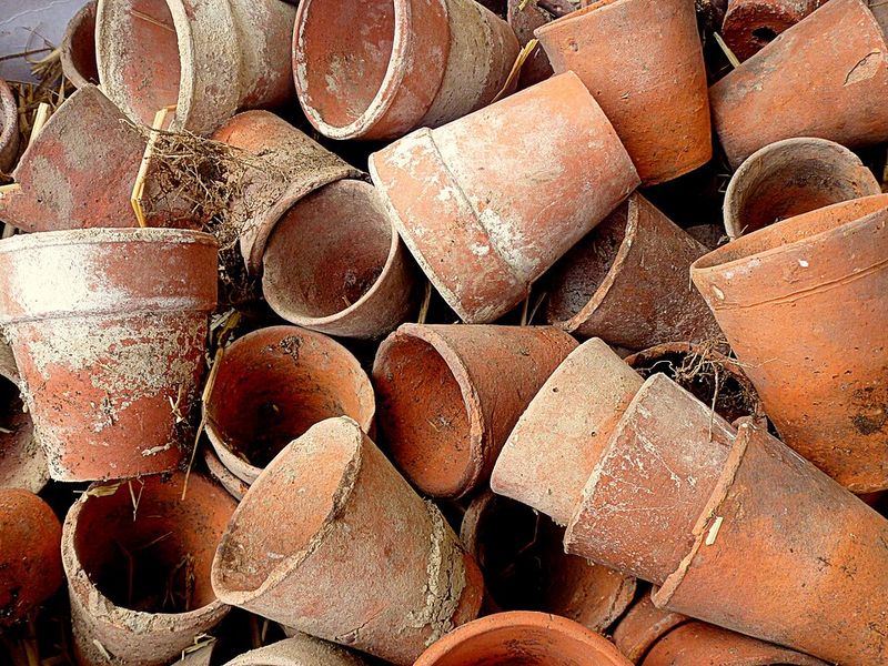 Garden Tools & Terracotta Pots
