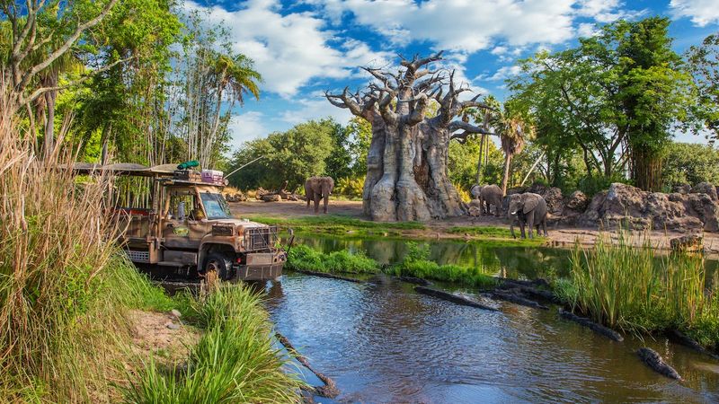 Disney's Animal Kingdom