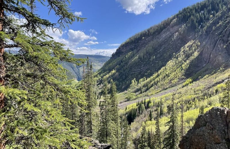 Breathe in the Forests