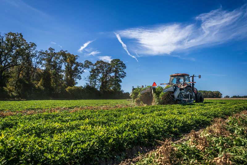 Agricultural Productivity