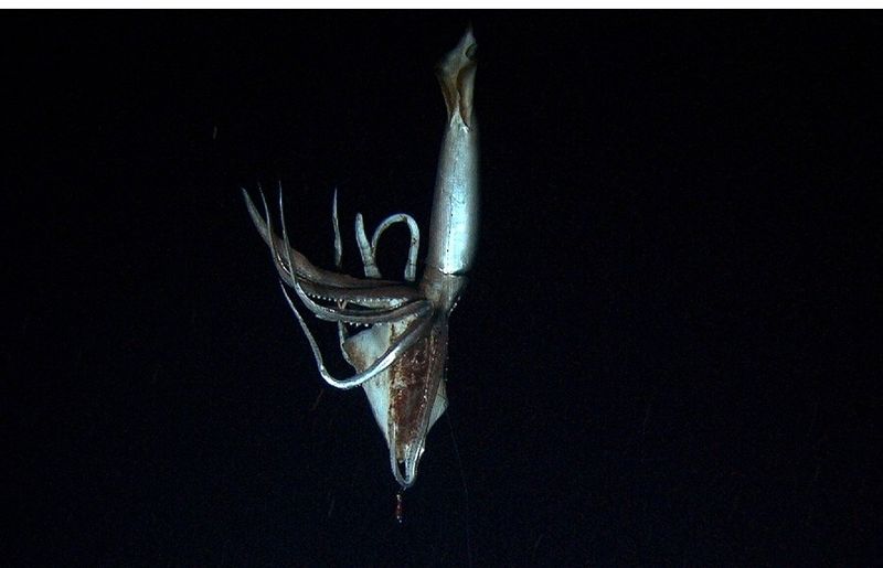 Catching Shadows: How Scientists Film the Invisible