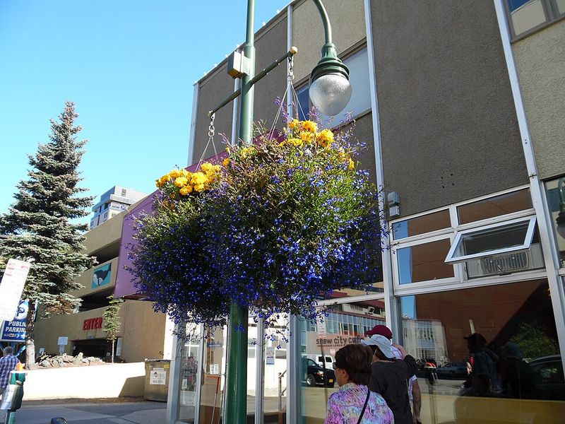 Anchorage, Alaska – Beautiful, But Brutal