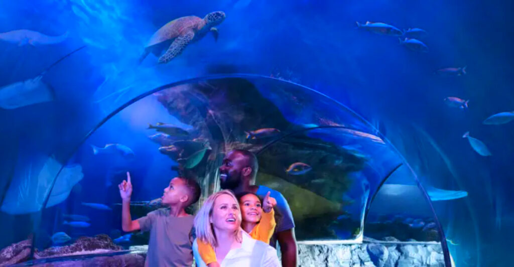 Michigan’s Must-See Aquarium Tunnel Will Leave You in Awe