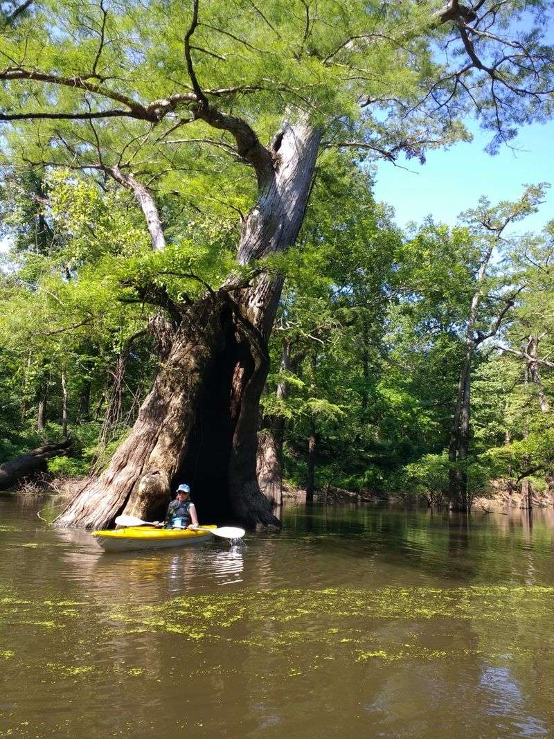 Chemin-a-Haut State Park