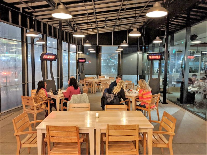 Vicia (St. Louis, Cortex)