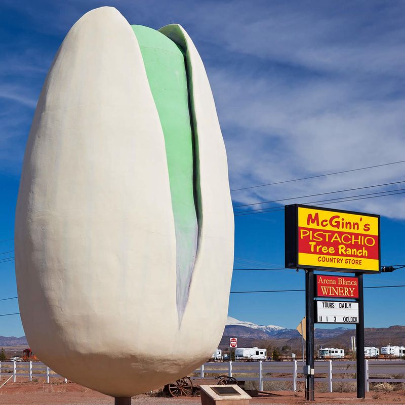 Craft and Construction