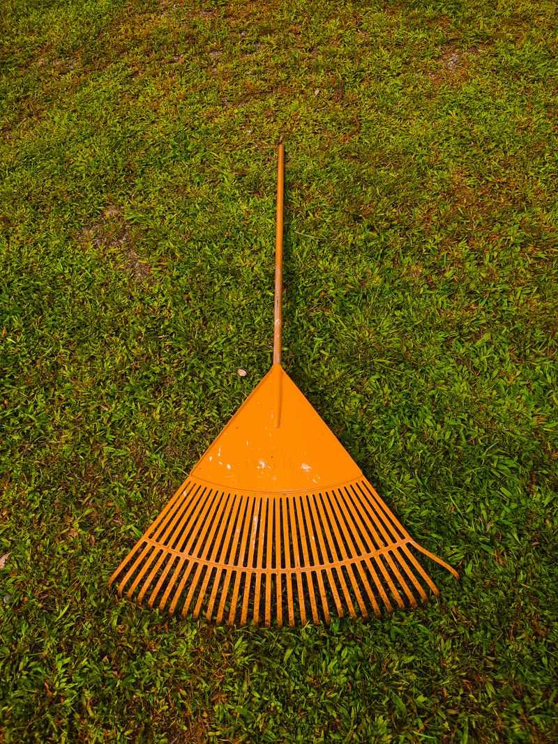 Raking leaves and shoveling snow