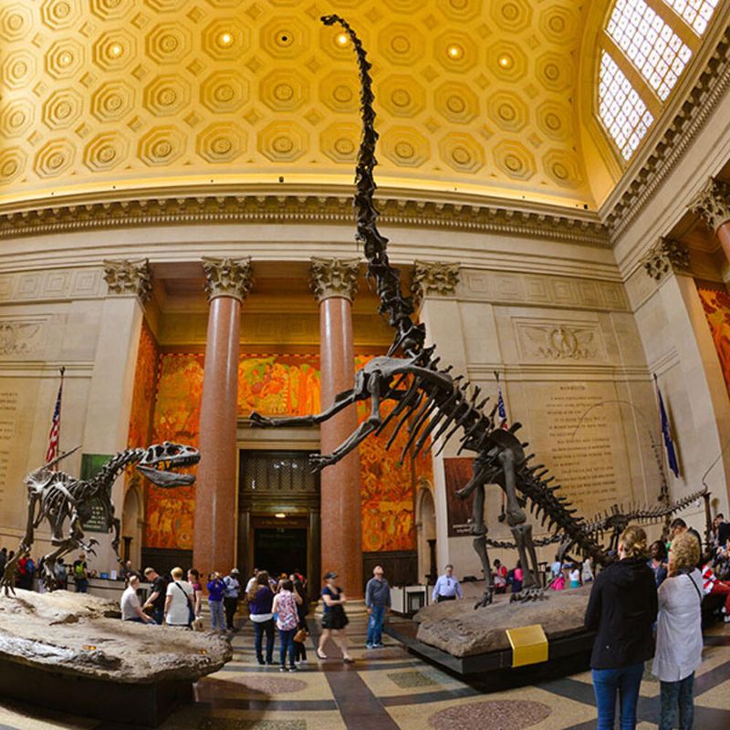 American Museum of Natural History (don't miss the Butterfly Vivarium) – Upper West Side