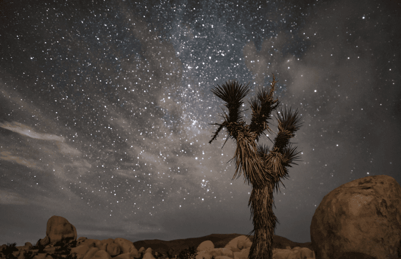 Joshua Tree National Park