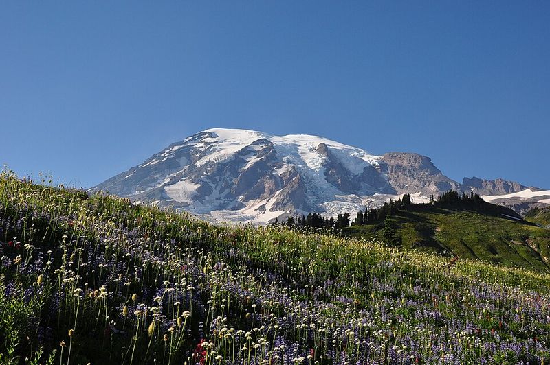 Mount Rainier National Park, Washington – Glaciers in Retreat