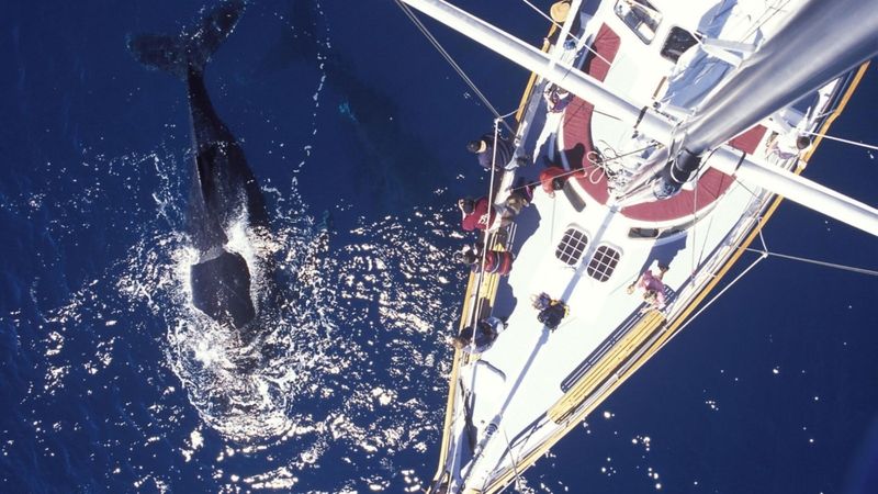 Narragansett / Point Judith, Rhode Island