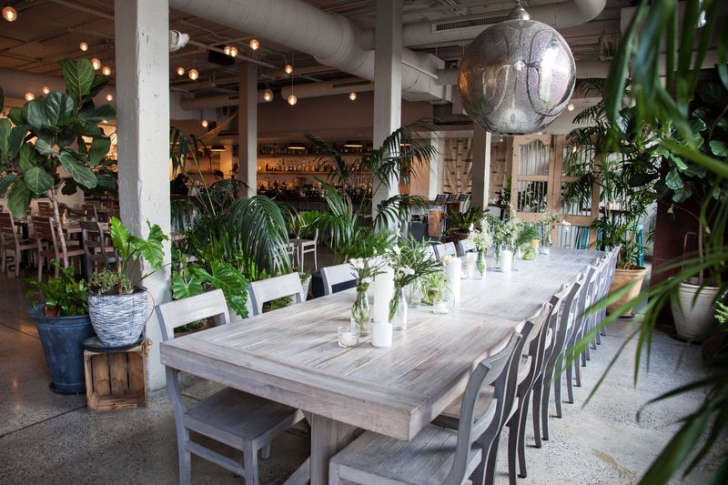 Alma Cocina Latina (Canton/Charles St. corridor) – Venezuelan Flavors & Cocktails