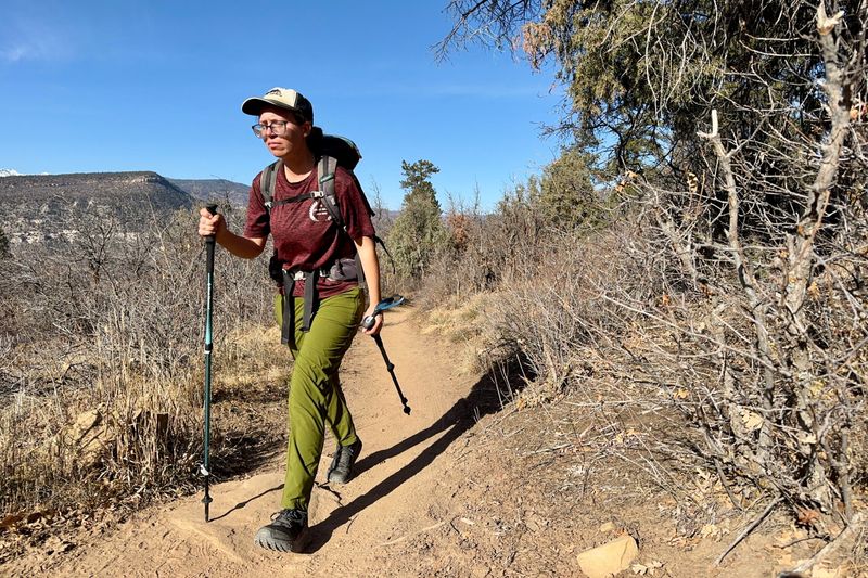 Black Diamond Trail Trekking Poles (7075 Alu, FlickLock)