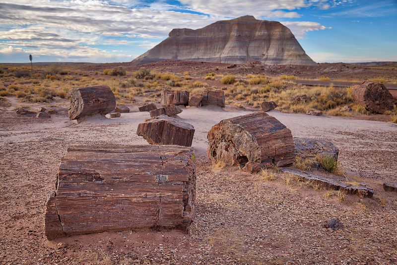 Petrified Forest National Park, Arizona
