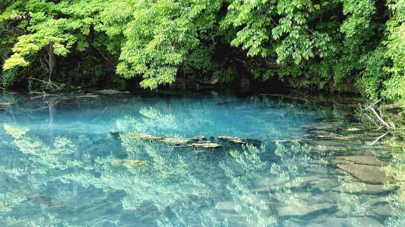 Oasis Temperatures and Crystal-Clear Water