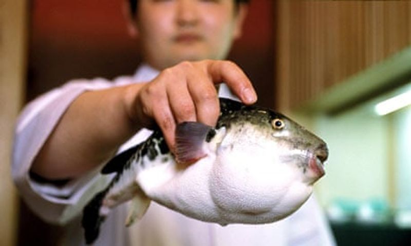 Fugu - Pufferfish (Traditional Japanese Preparation)