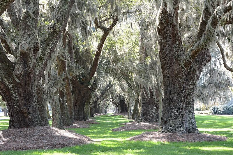 St. Simons Island, Georgia