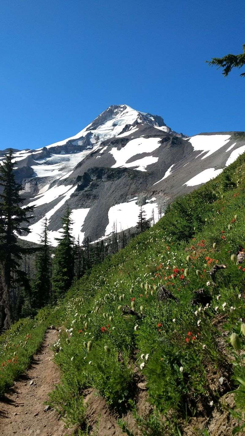 Mount Hood and Timberline Trail, Oregon