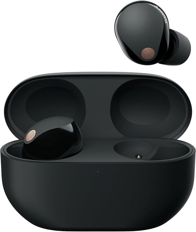 Noise-Canceling Earbuds (Sony WF-1000XM5)