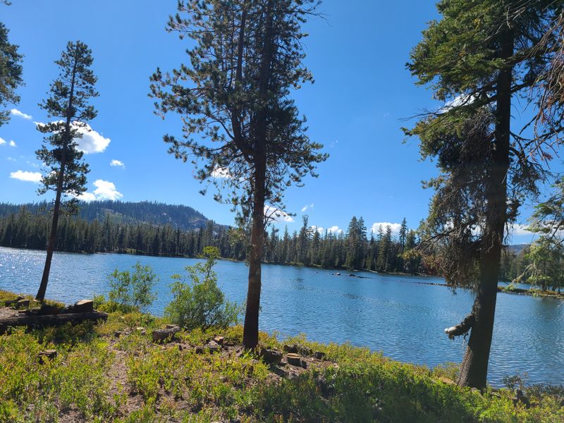 Fly Fishing Tactics From the Reviews