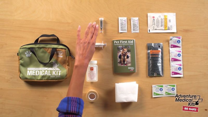 Dog first-aid kit
