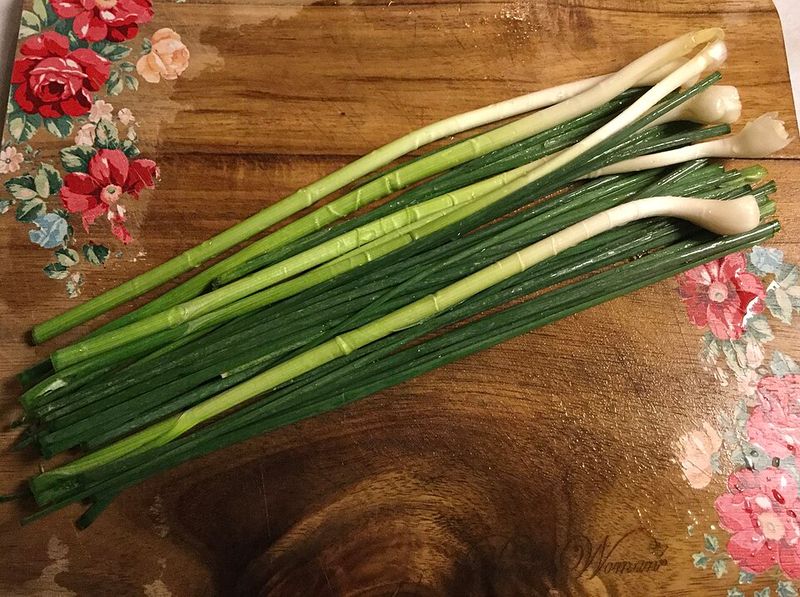 Wild Onions and Ramps (Allium Species)